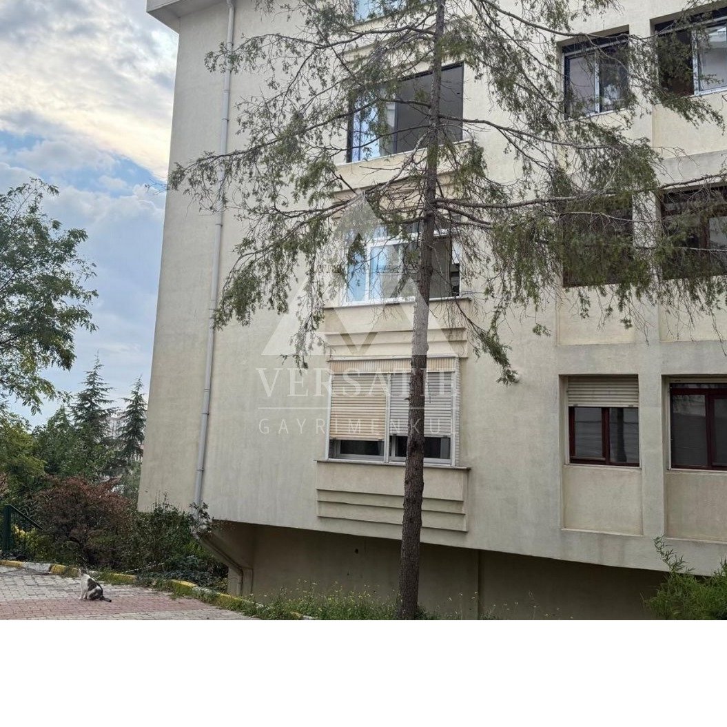 Şehrin Merkezinde, Doğayla İç İçe Ayrıcalıklı Bir Hayat